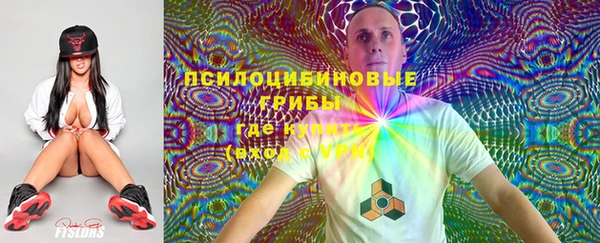ECSTASY Нязепетровск