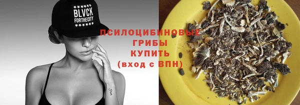 герыч Алексин